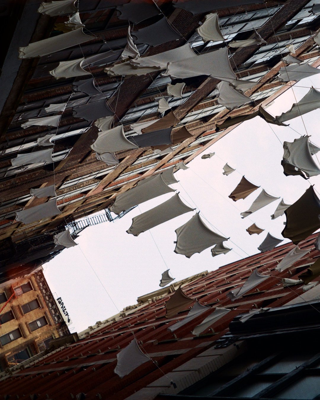 Summer in New York, captured on film @kodak_shootfilm  #kodakgold200  #nyclife #nycspc 

Photographer: #TULIKAKim #TULIKAwfilm
#tulikatravels 
Dev : @whatthefilmlab