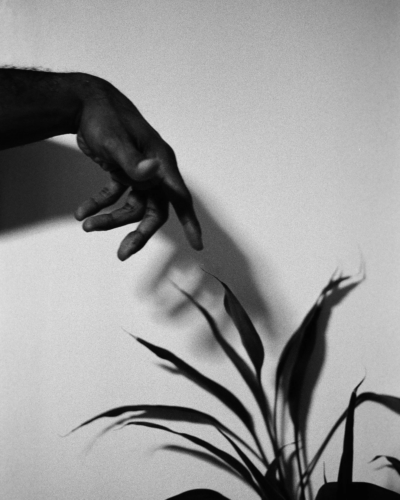 Human touch No. 1

Reinterpreting the Sistine Chapel for a world that spends its life touching glass screens. I wanted to capture the raw connection between us and nature&mdash;that silent moment of contact where everything feels alive. No filters, n