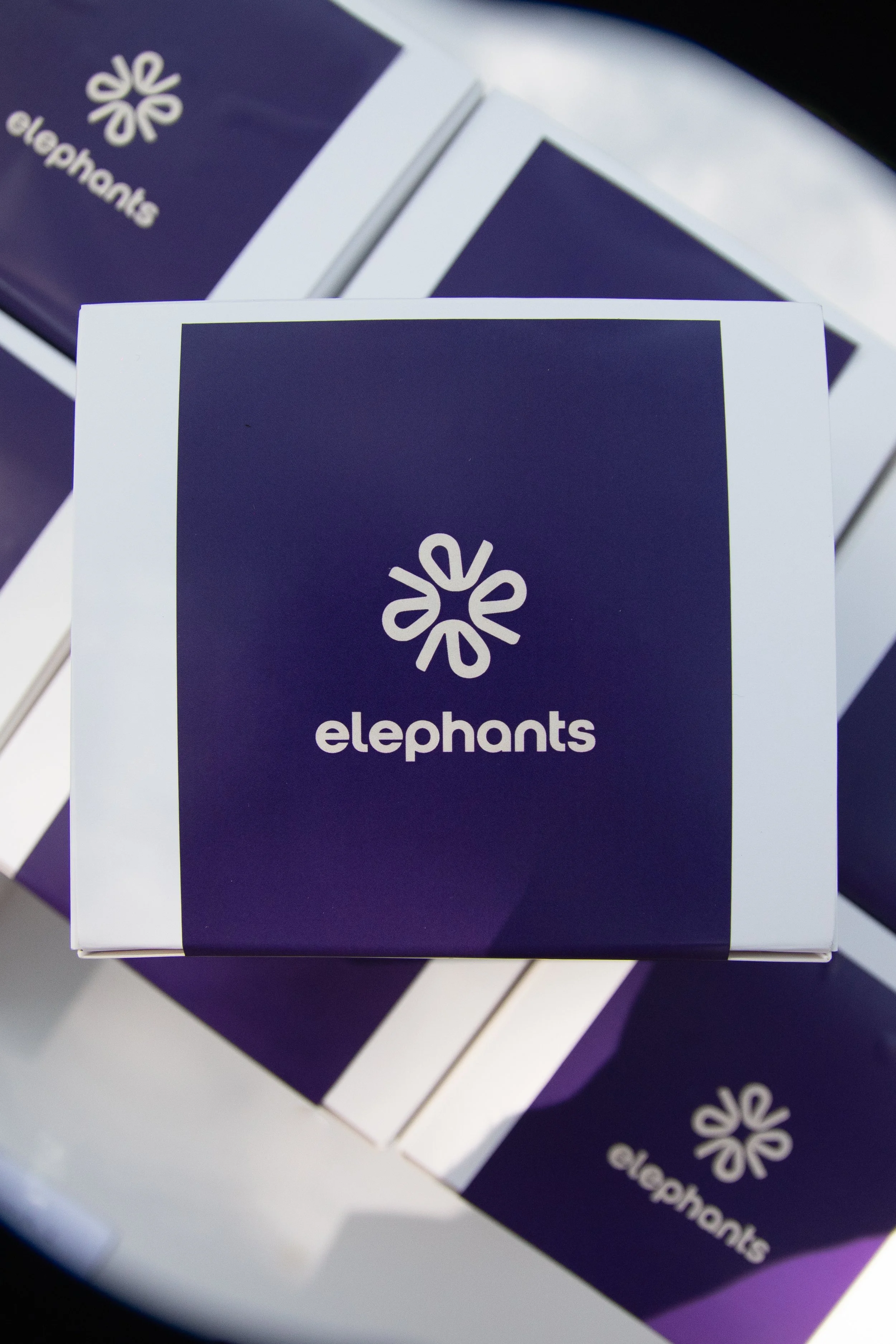 Elephant finace-5992.jpg