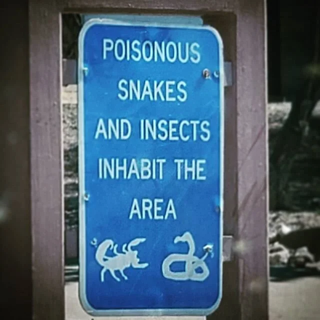 Nope! #desert #arizona #snakes #scorpions #nope #eatwell #drinkplenty #livelife #travel #wanderlust #traveler #wander