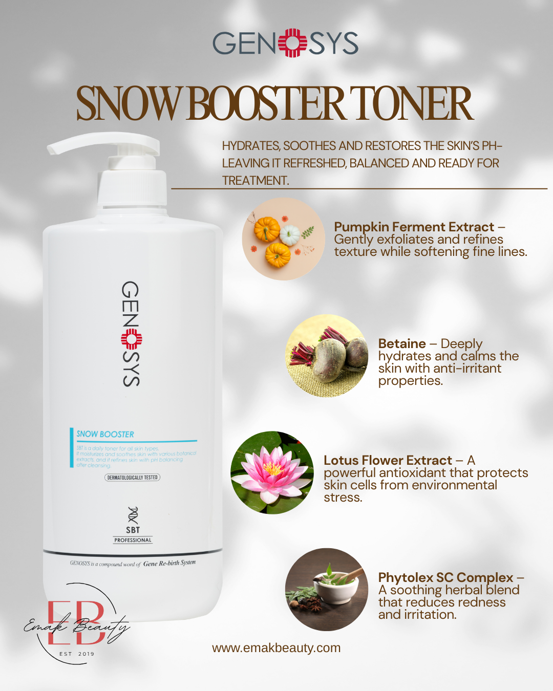 SNOW Booster Toner Key Ingredients Flyer.png