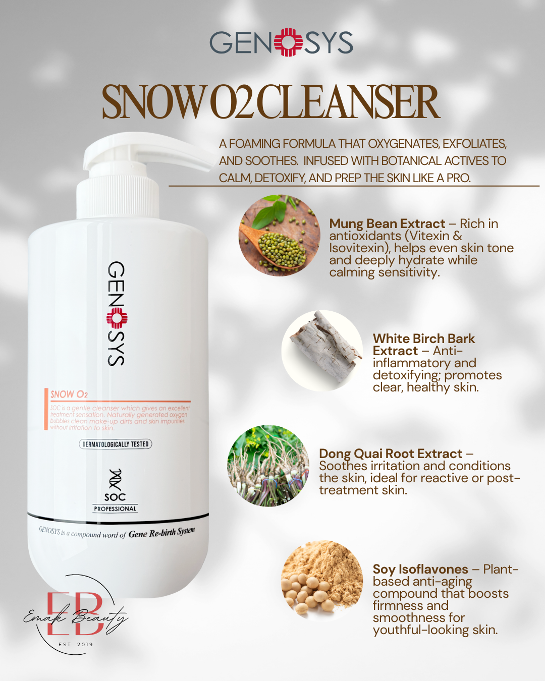SNOW 02 Cleanser Key Ingredients Flyer.png
