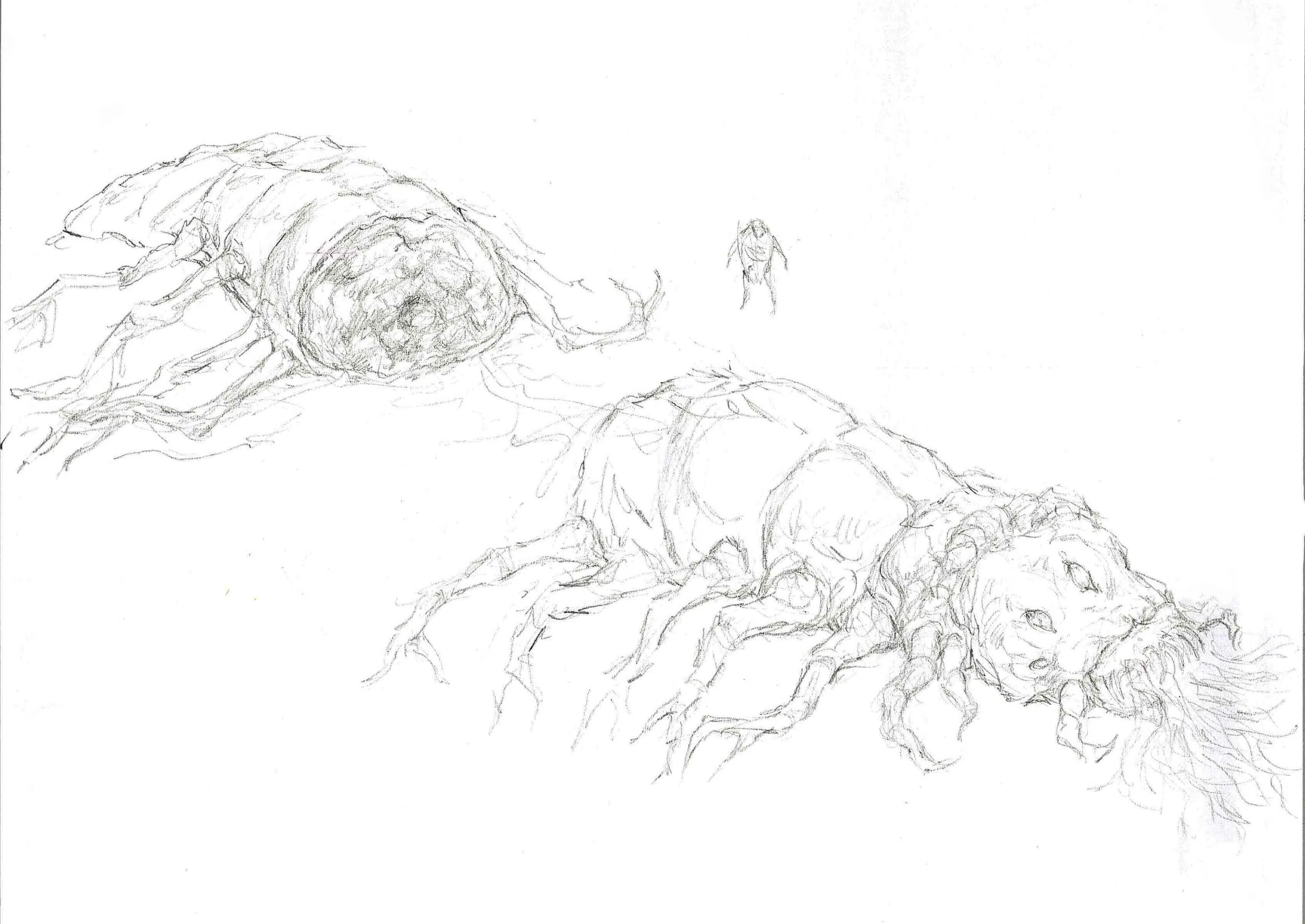 Dead Split Eweere_edit1.jpg