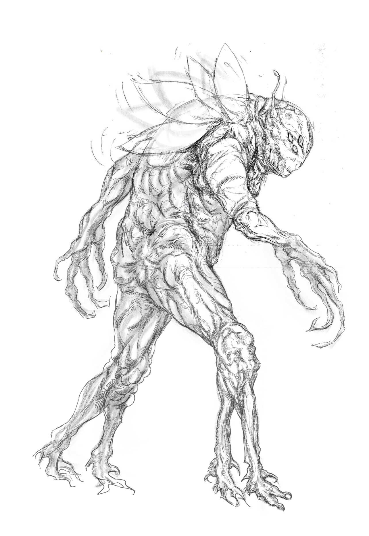 Threx Wings concept_edit1.jpg