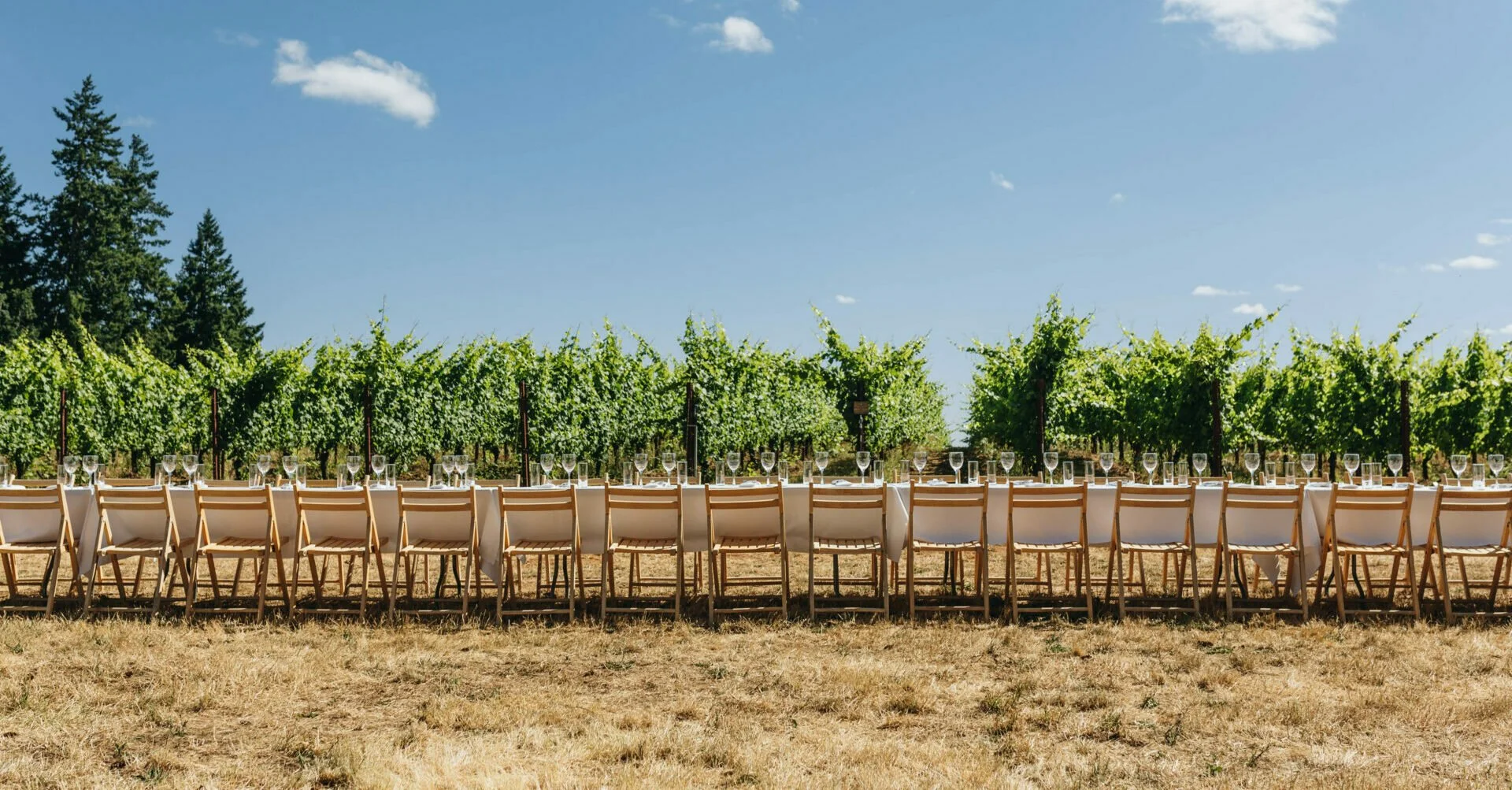 Outstanding in the Field [Kinglet]