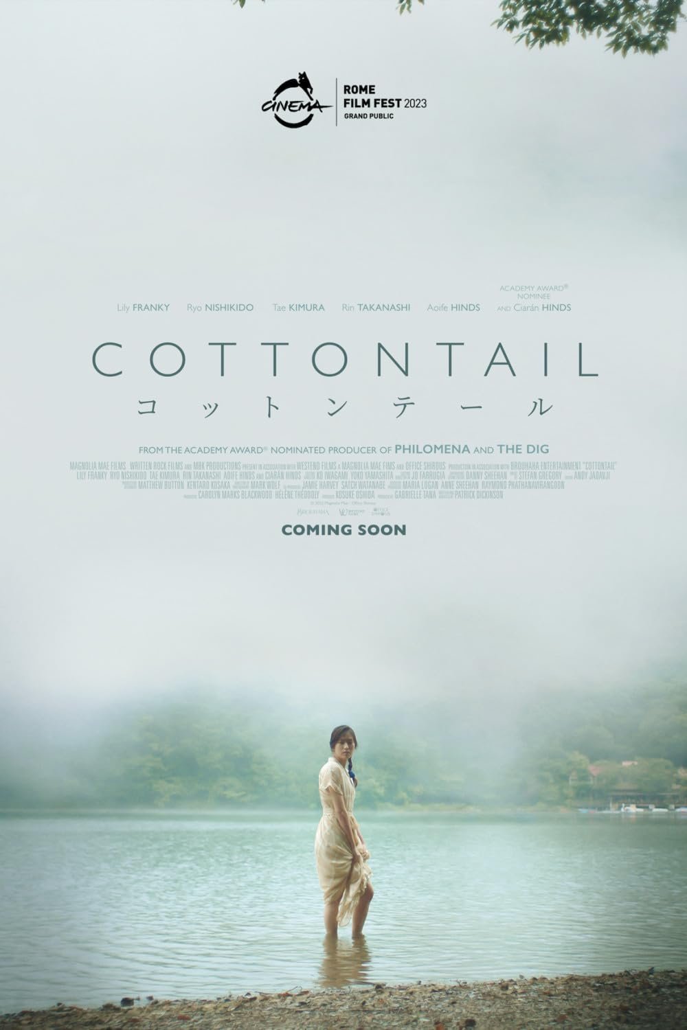 Cottontial 