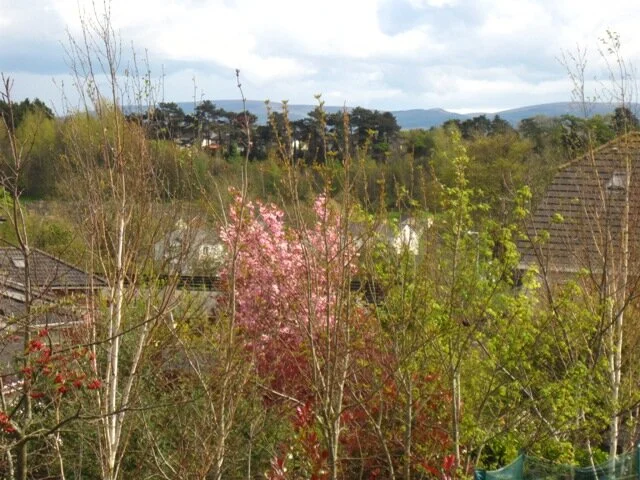 124 Laraghcon - Rear Upstairs View.JPG