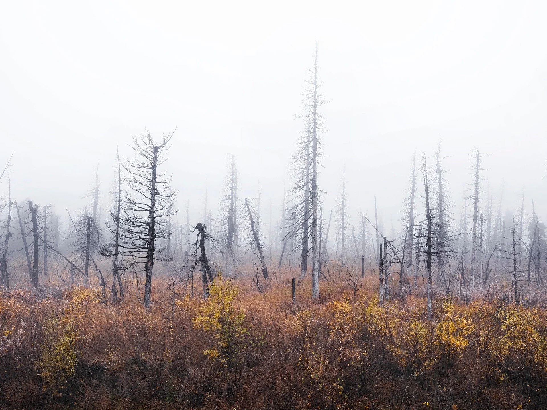 At Road&rsquo;s End is made during a solo journey through Alaska, traveling from Homer to Prudhoe Bay. Moving through vast and often uninhabited landscapes, the project investigates how extreme environments shape human identity, vulnerability, and th