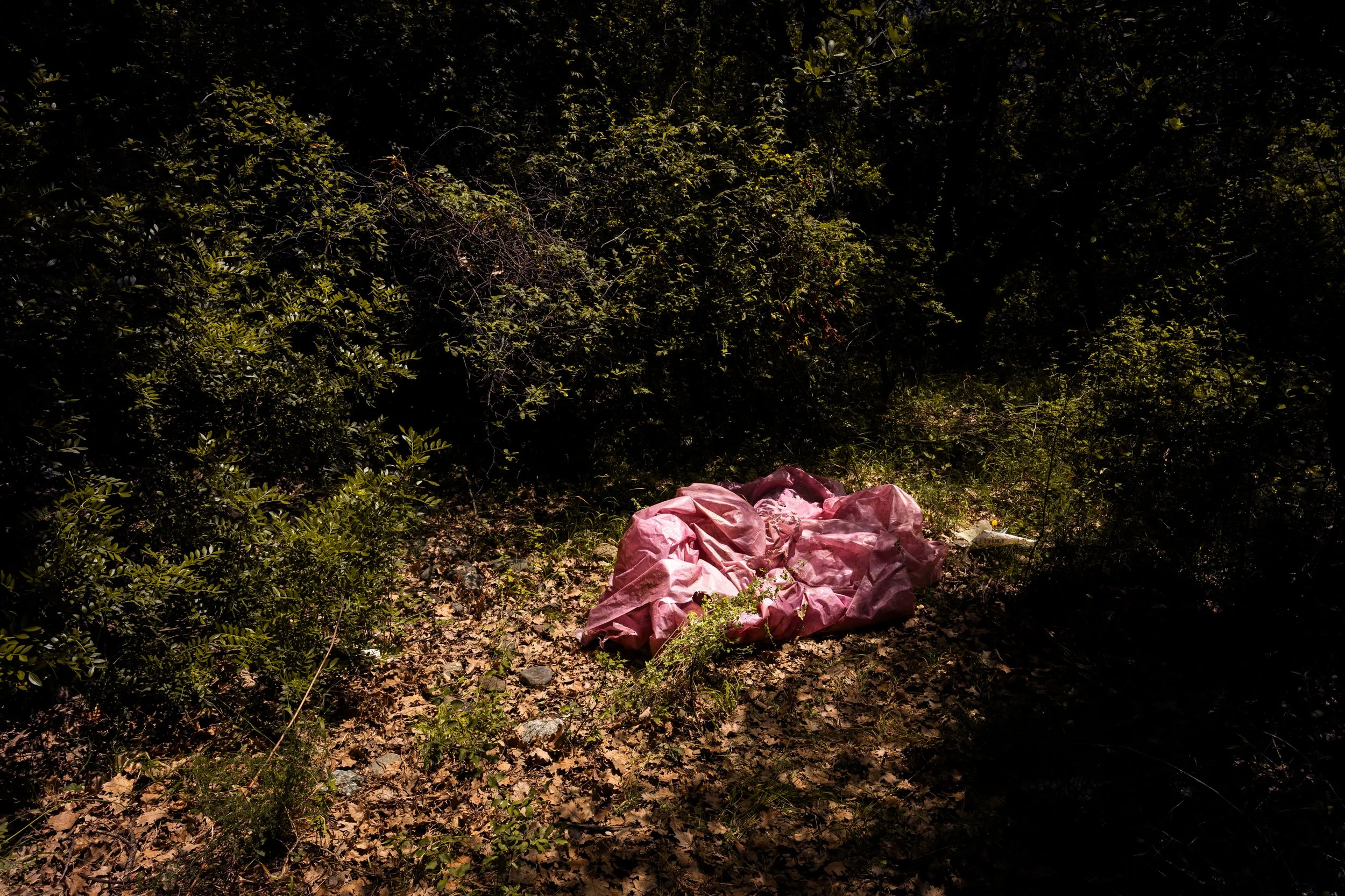 Unsolved - Guilty Grounds.jpg