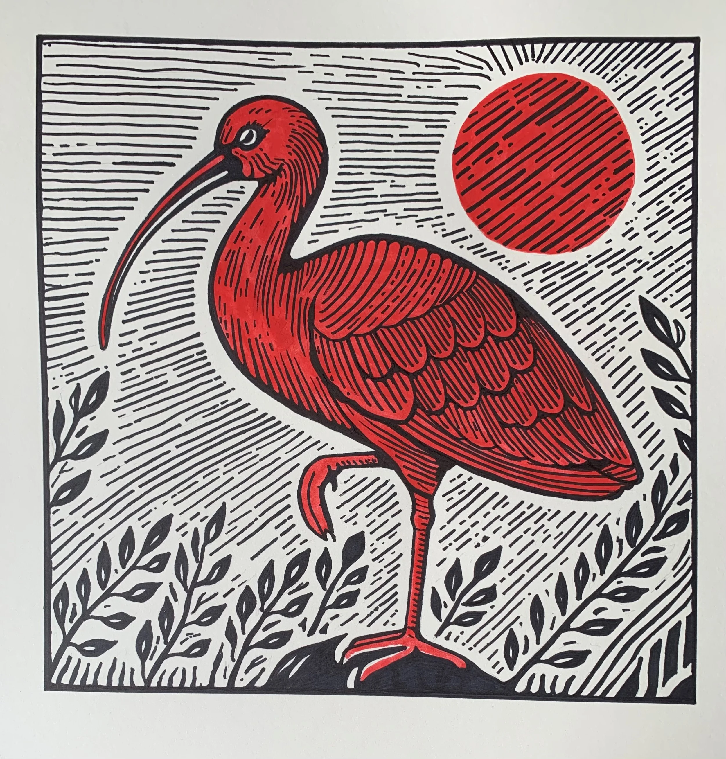 Scarlet Ibis