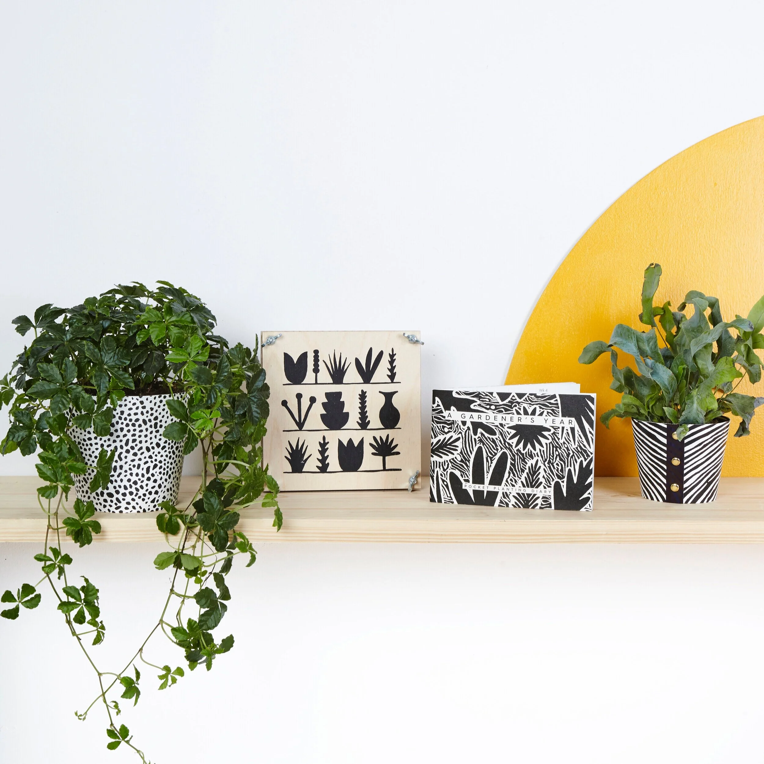 Lovely new stock from Studio Wald just arrived!