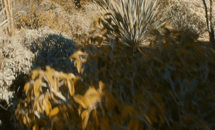 chrome-capture-2023-2-7 (1).gif
