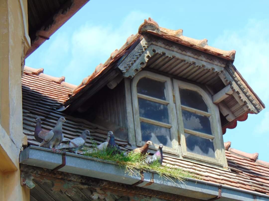 „Protectors of the village”, A. Fabiana