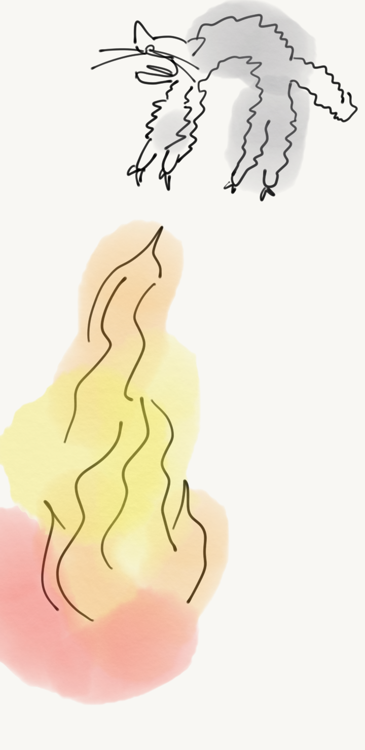 Project - Drawing 17671266747256813655.png