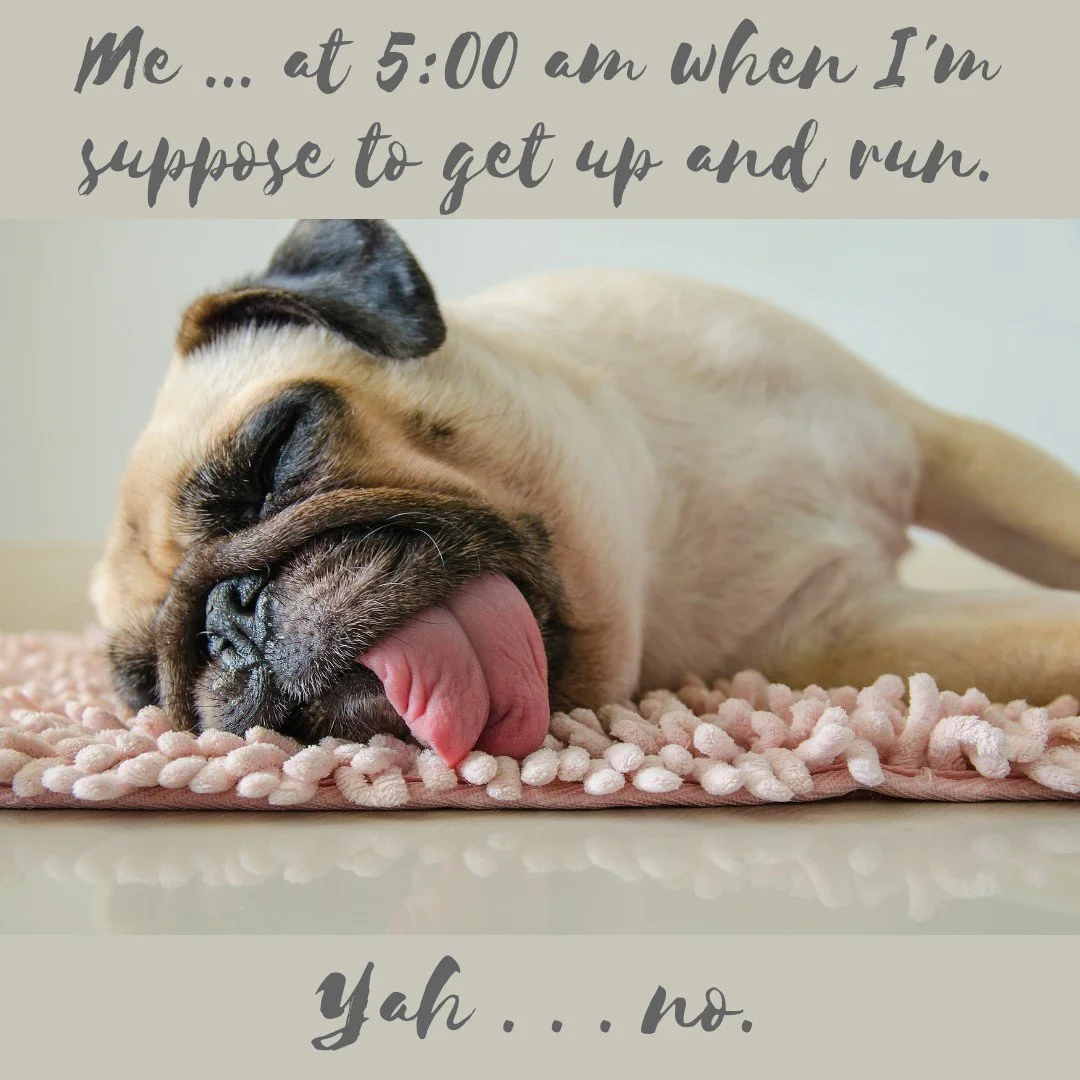 Friday Funny!!

To all my marathon training friends, I hope you it's going well.
.
.
#fridayfunny #humor #justlaugh #laughter #marathonhumor