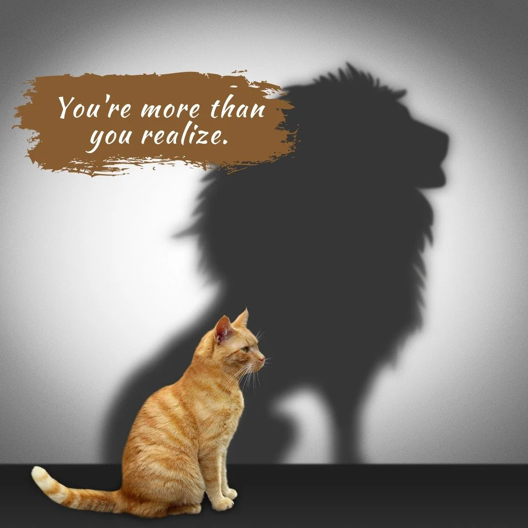 The voice in your head will try to convince you to back off long before your body actually needs to.

It&rsquo;ll whisper that you&rsquo;re tired. But you Are capable.
That you&rsquo;re not ready. But you are more ready than you think.
That everyone 