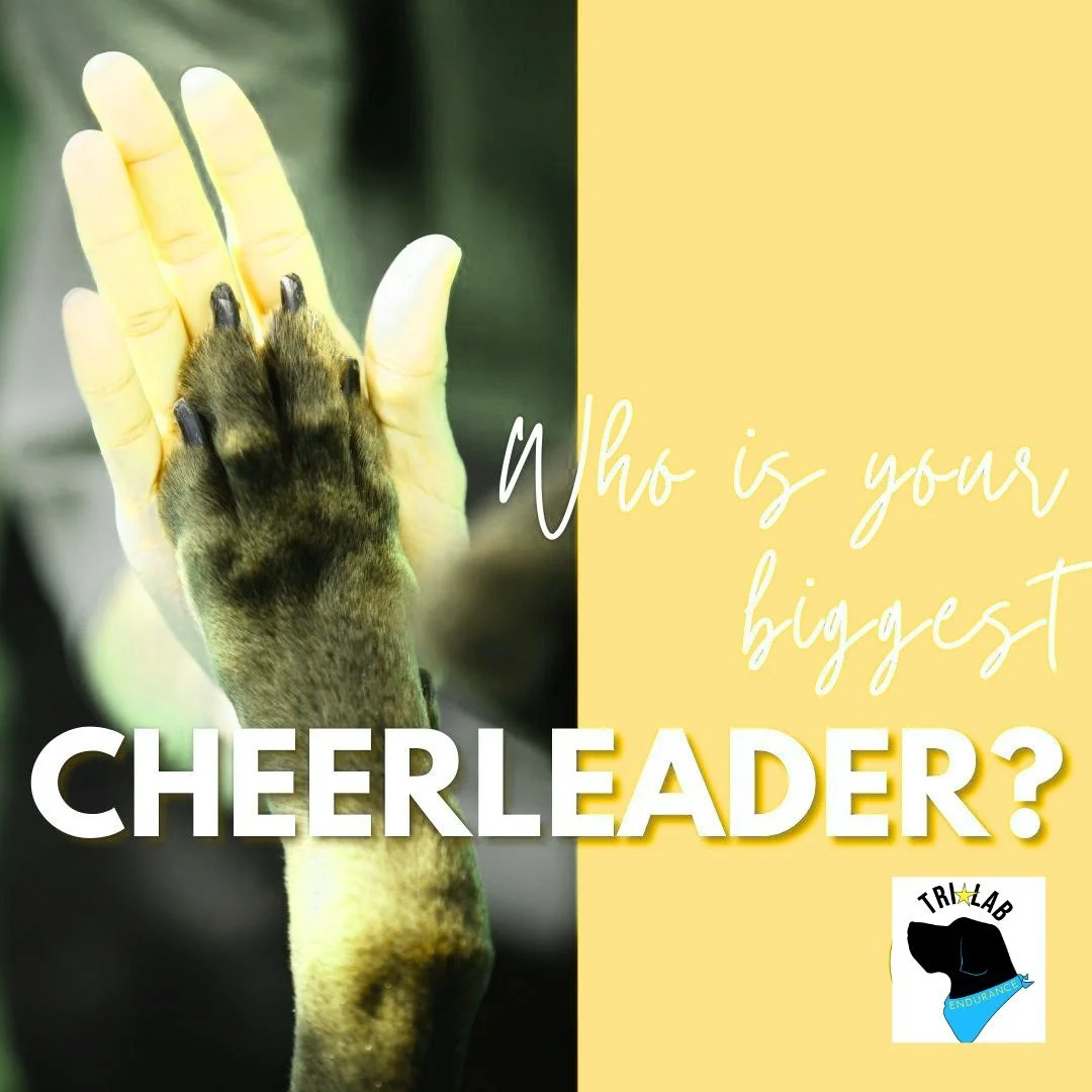 Who is your biggest cheerleader?  Whether it's a friend or family member, having someone in your corner can make all the difference! 

But did you know that a coach can be your ultimate cheerleader too? They provide support, guidance, and motivation 