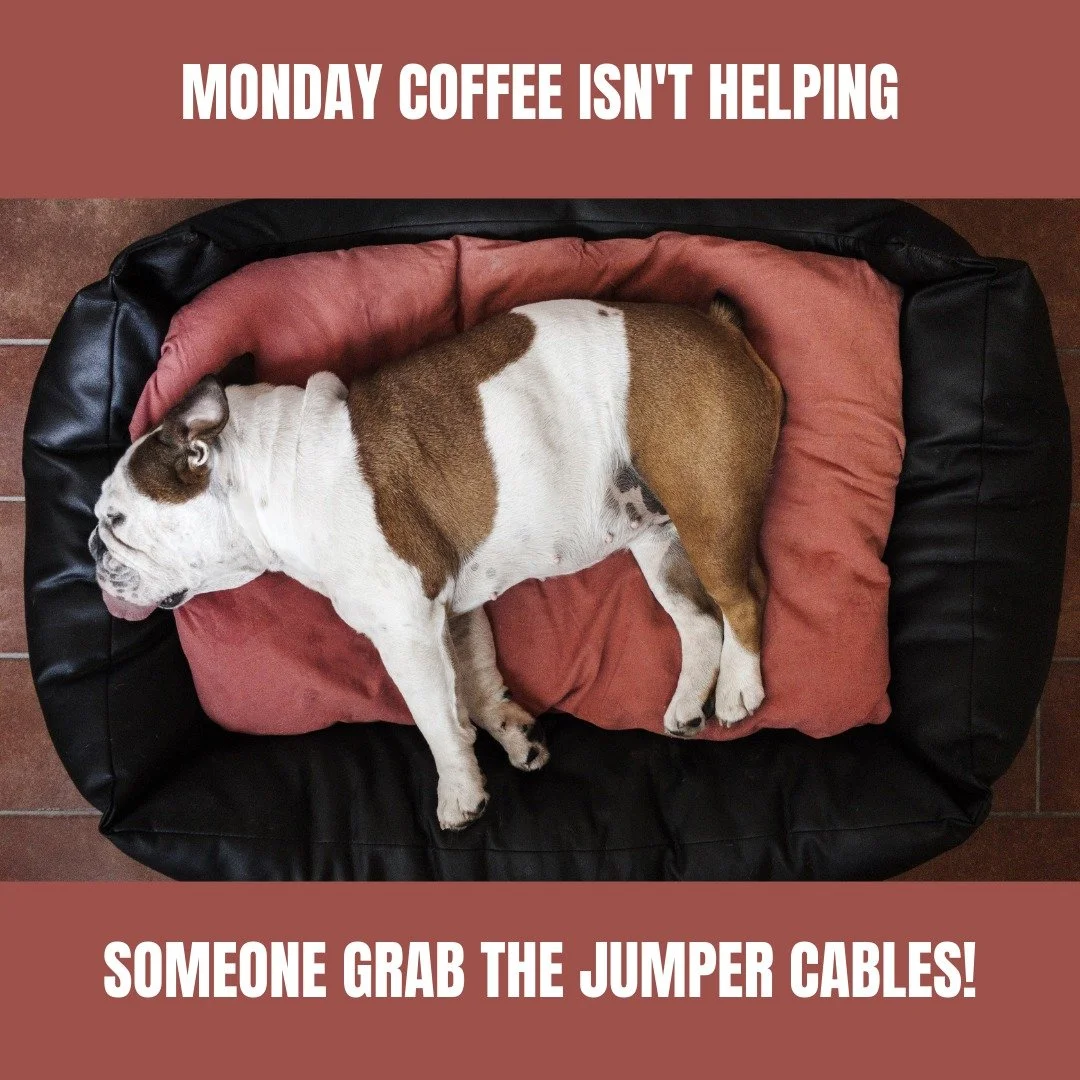hahaha....I am usually all about the Monday motivation but after two days of racing - 
day one - cheer squad and mount/ dismount line volunteer- (because our races cannot happen without volunteers)
day two - racing myself along with fellow athletes a