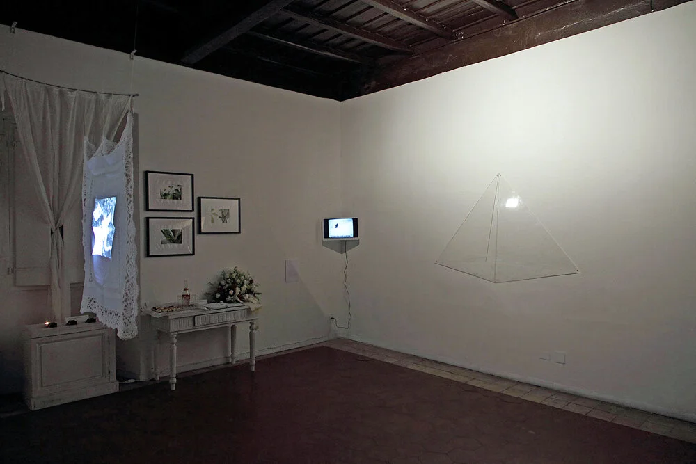 Cockroach Memorial, 2014