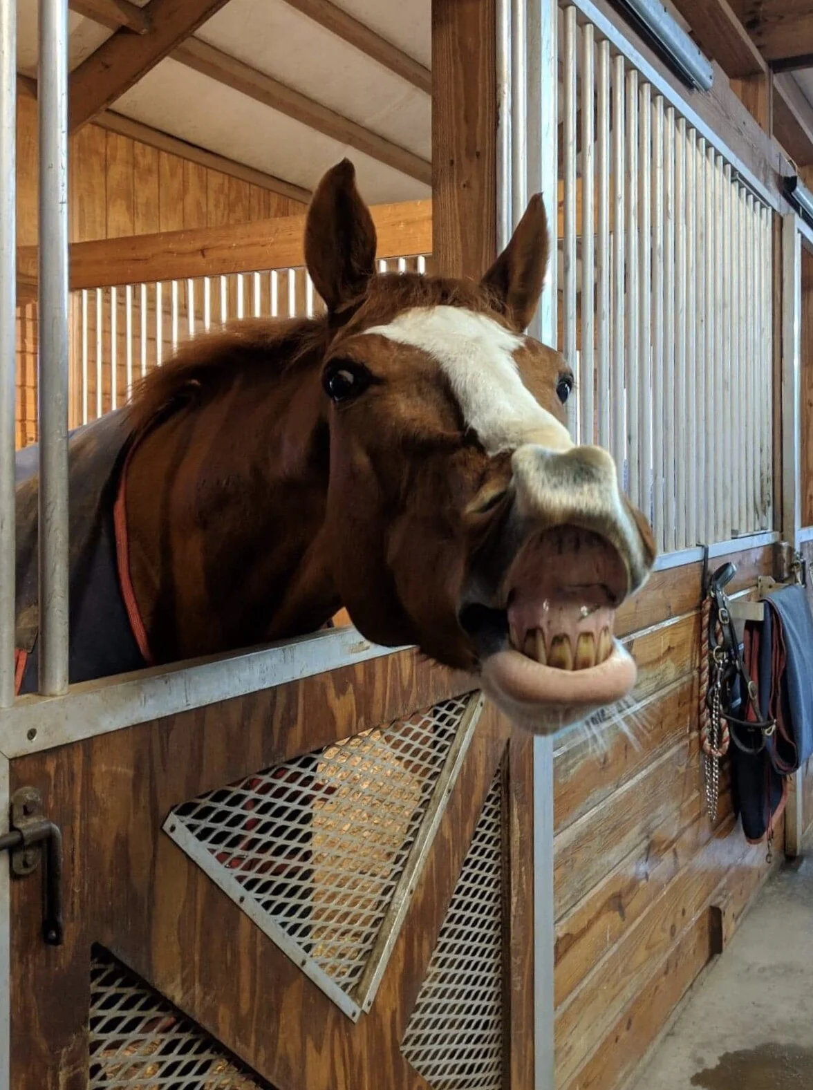 Complementing Personality in Partnership