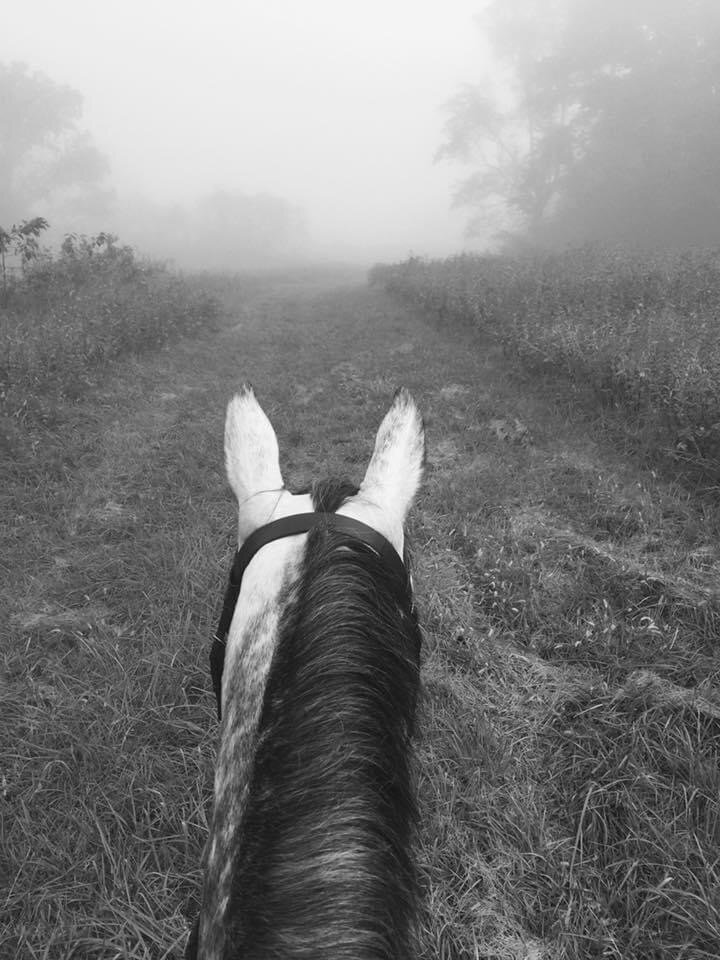 Achieving Steps Forward Into A Foggy Future