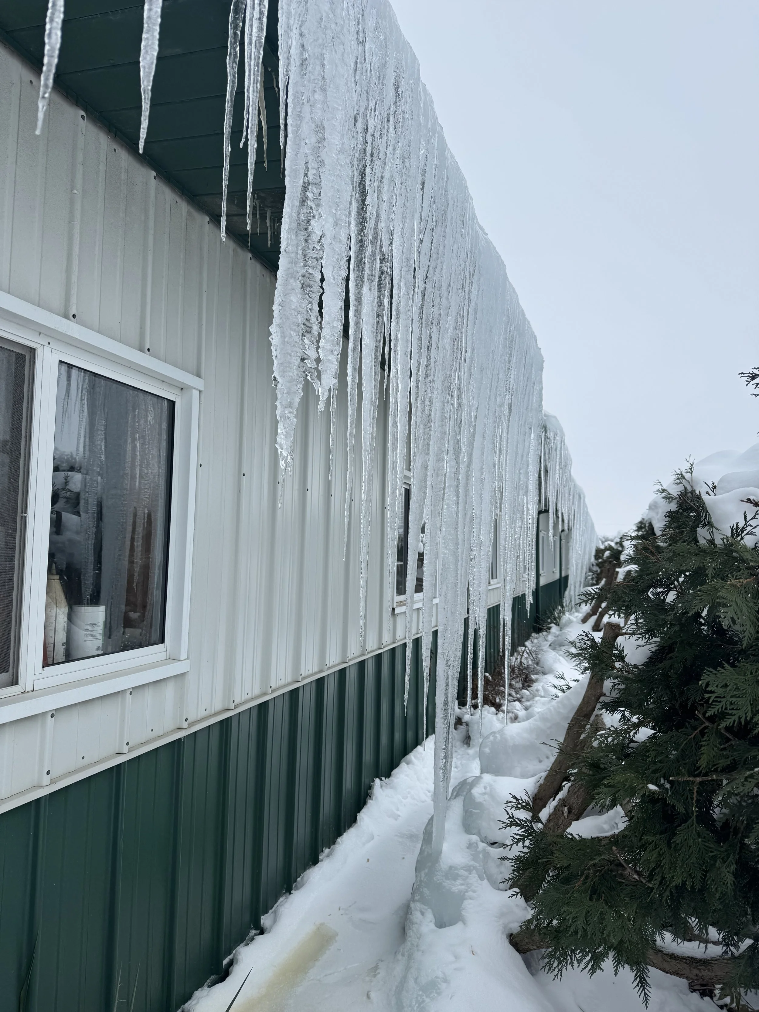 Winter Training, Isolation, and Why Community Matters