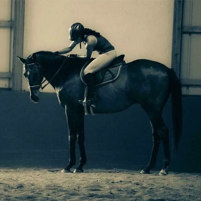 Before the Aid: The Horsemanship of Observation