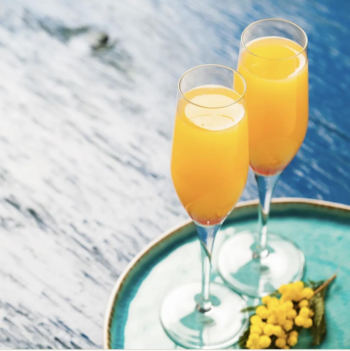 Mimosas anyone? What better way to start your Saturday than by joining the Binnekill crew starting at noon today! New drink specials available from 12-4, featuring mimosas, bellinis and more! We hope to see you soon! #greatwesterncatskills #catskills