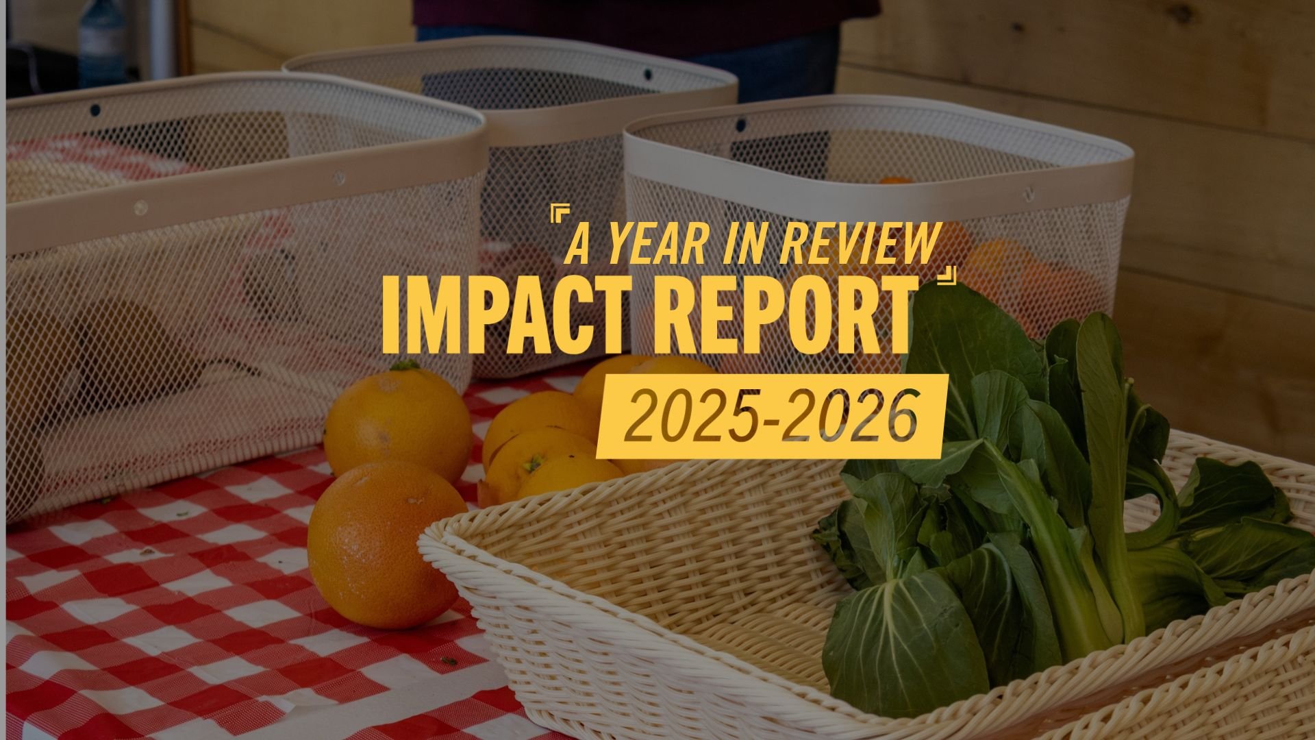 A Year in Review (18).jpg