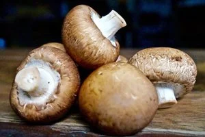 FOCUS SUR LES BIENFAITS DES CHAMPIGNONS
