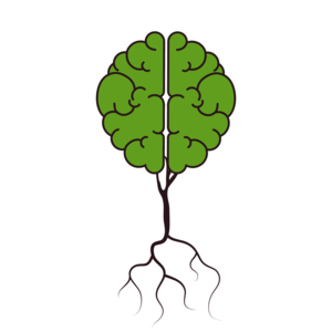 LES BRAIN FOODS, CES ALIMENTS QUI NOURRISSENT NOTRE CERVEAU