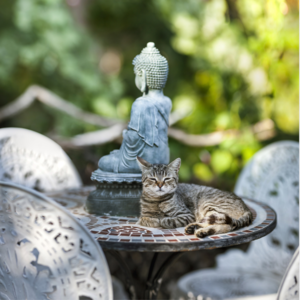 COMMENT RÉDUIRE L’INFLAMMATION DU CORPS DE MANIÈRE NATURELLE ?