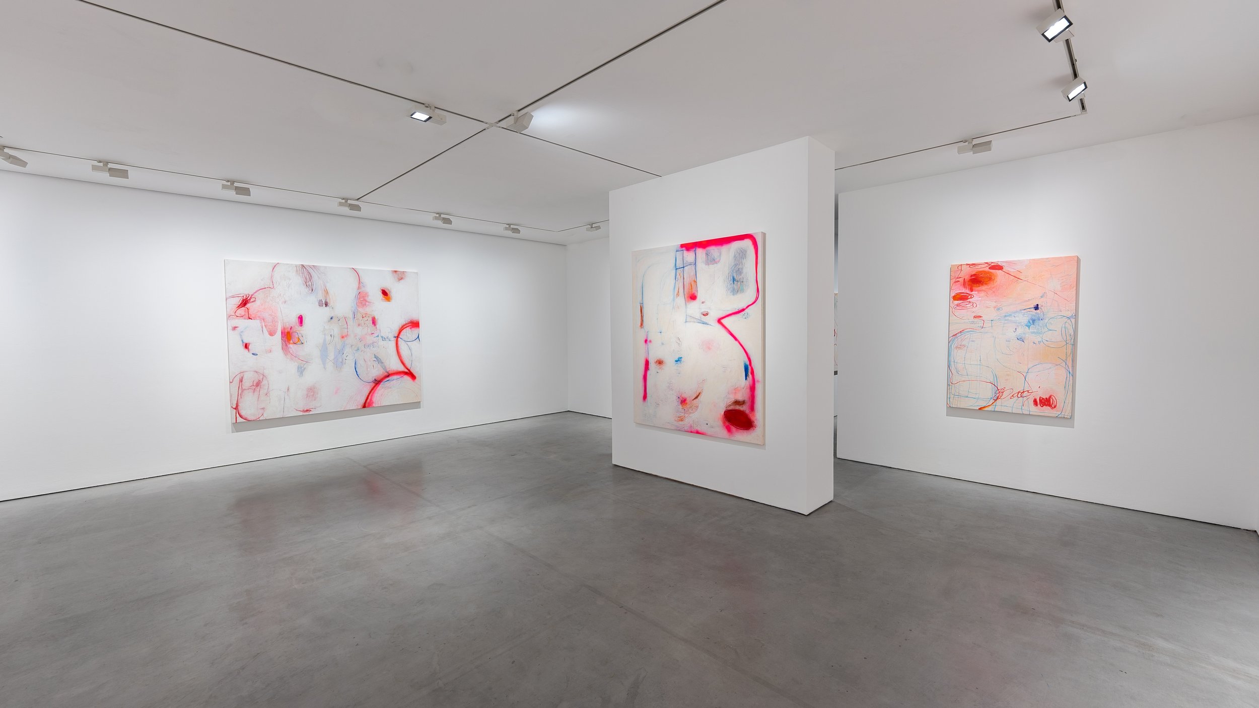 Copy of Sophie Crichton- OMNI Gallery11©Doug Gillen.jpg