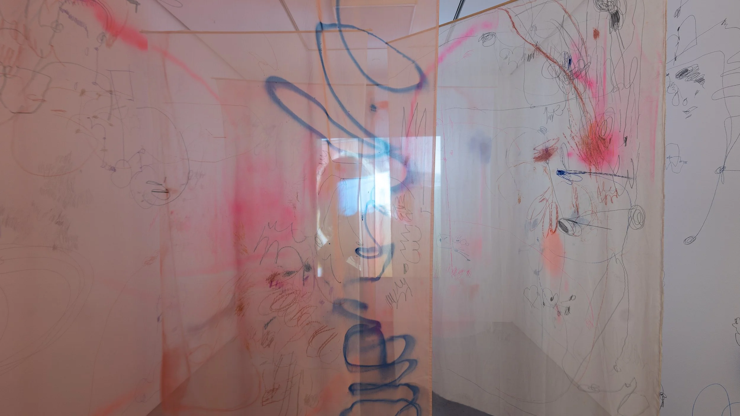 Copy of Sophie Crichton- OMNI Gallery15©Doug Gillen.jpg