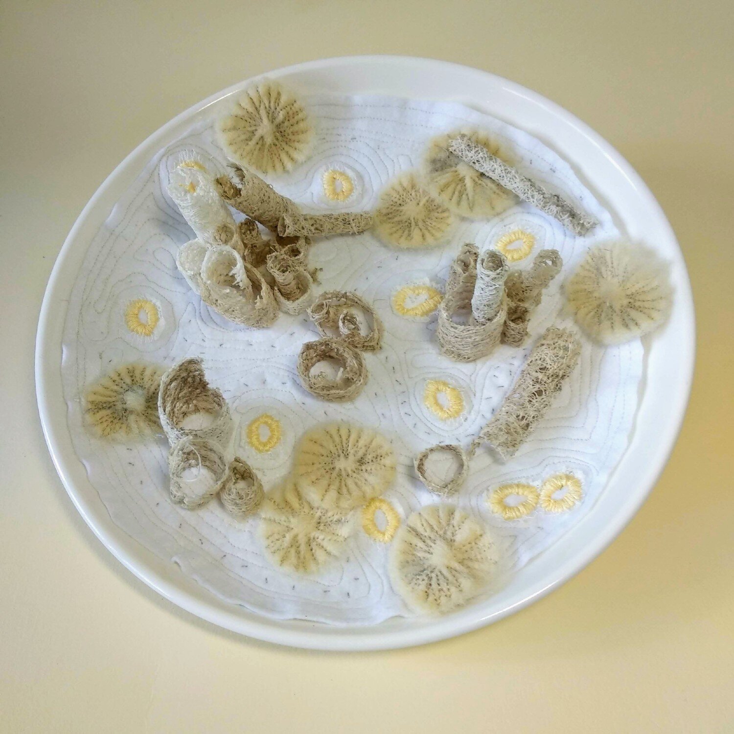 Coral Textile Art - Bowls of Fragility