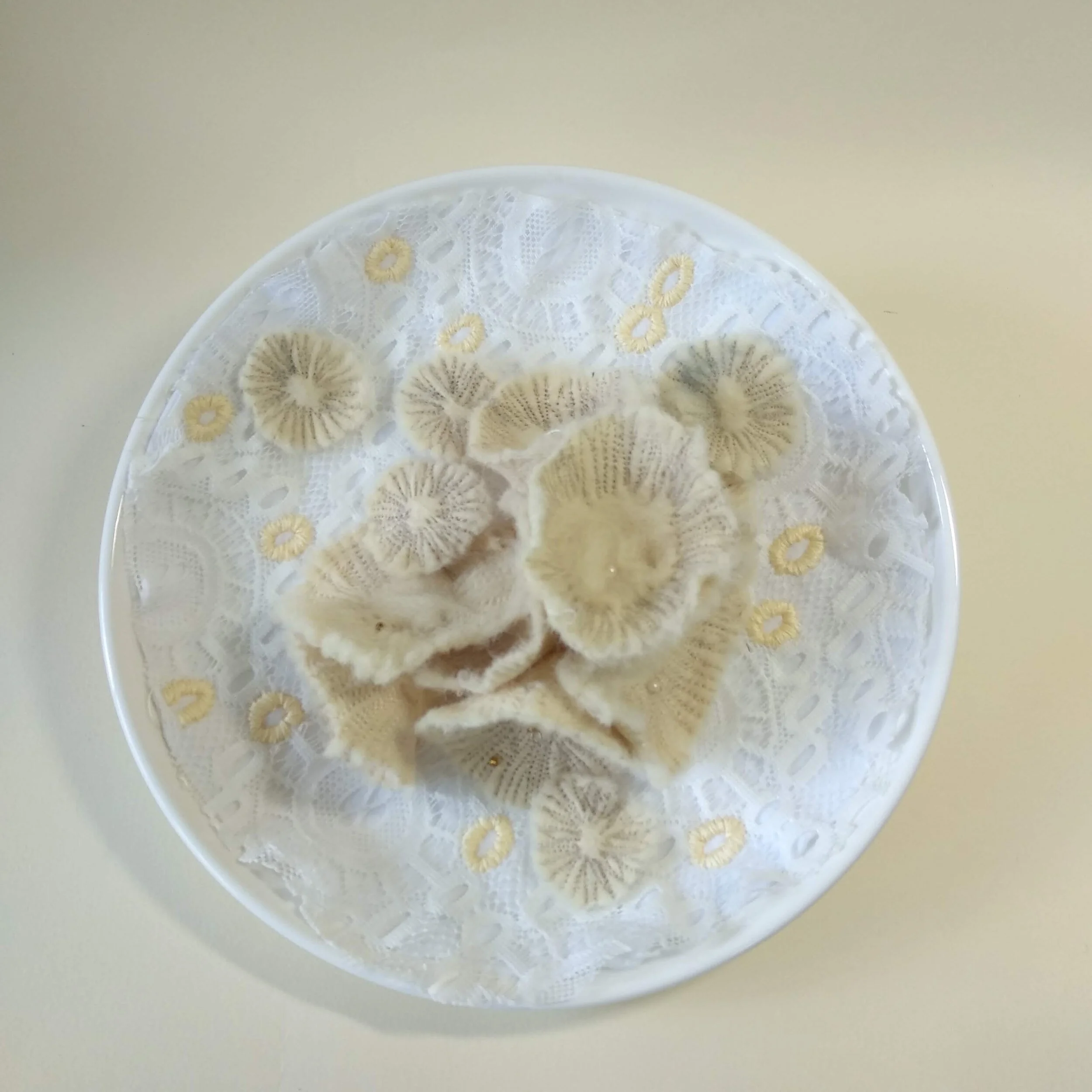 Bowls of Fragility - Ethereal 2