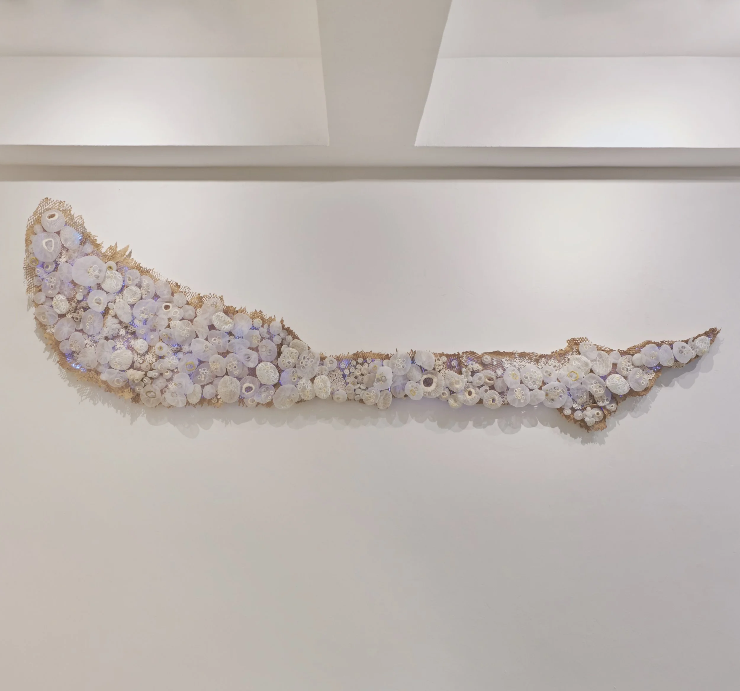 Artist Talk - A Craftcentric Practice