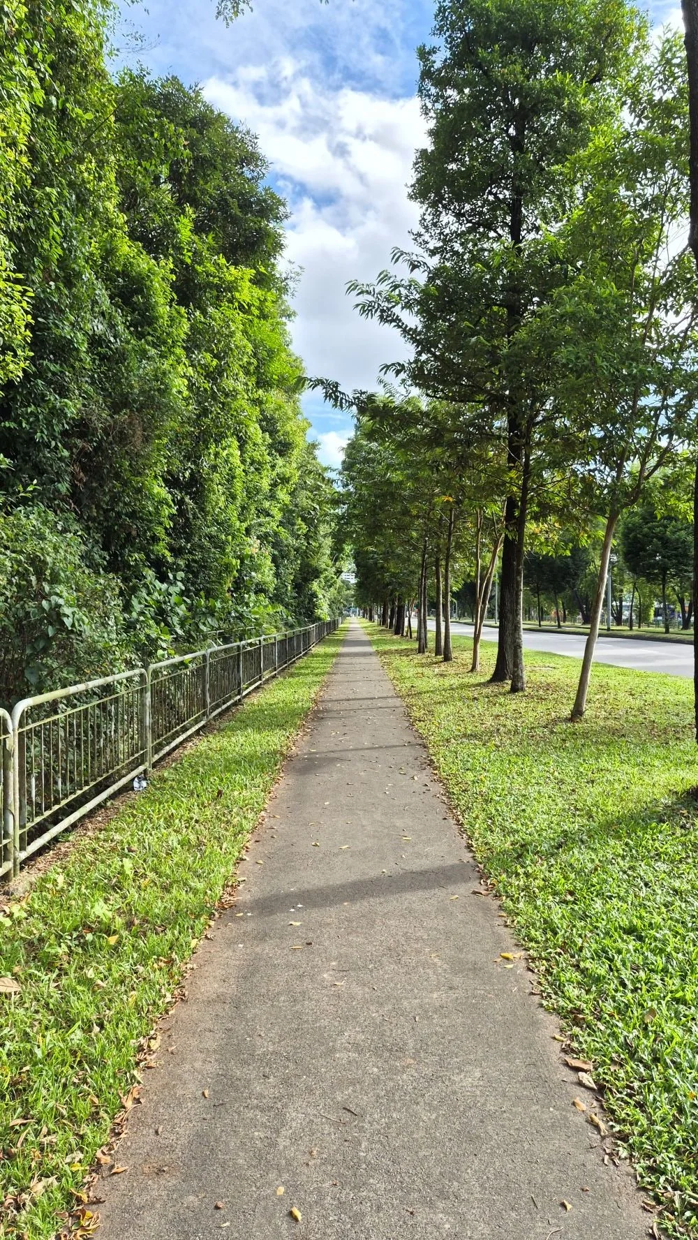 Nature_Walks_Singapore4.jpg