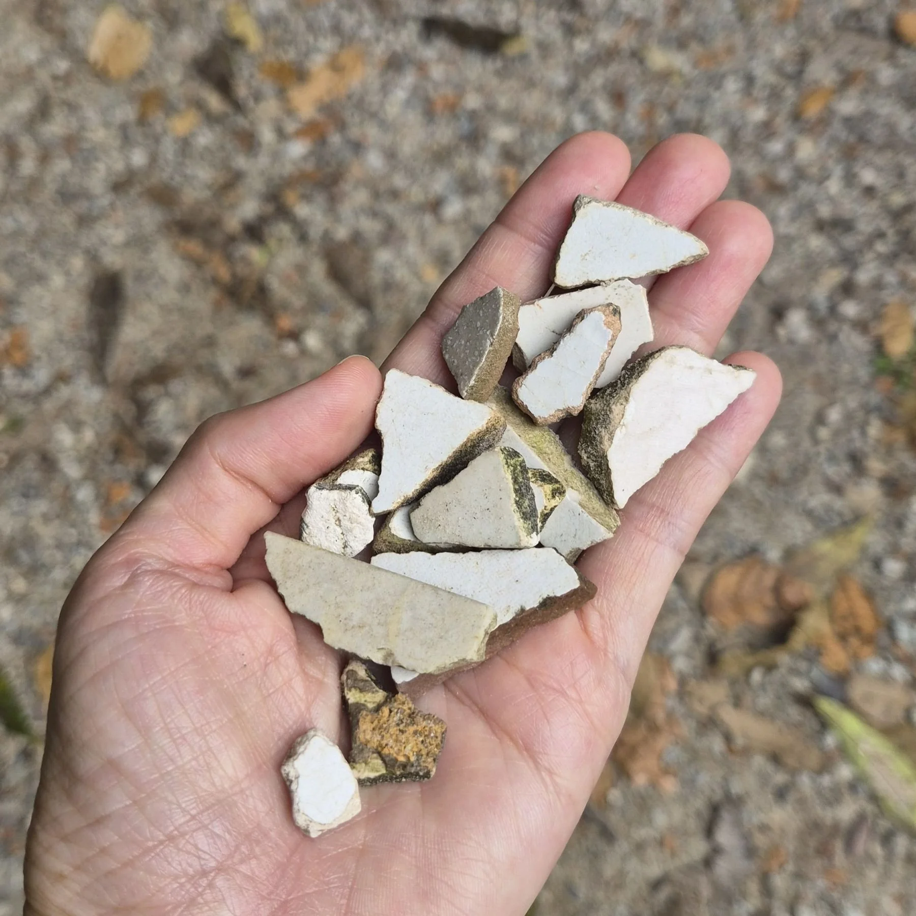 Hand holding tile fragments