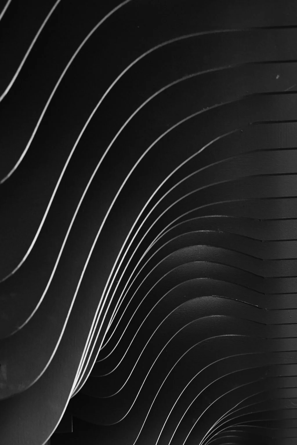 Gallery_7-1024x1536.jpg