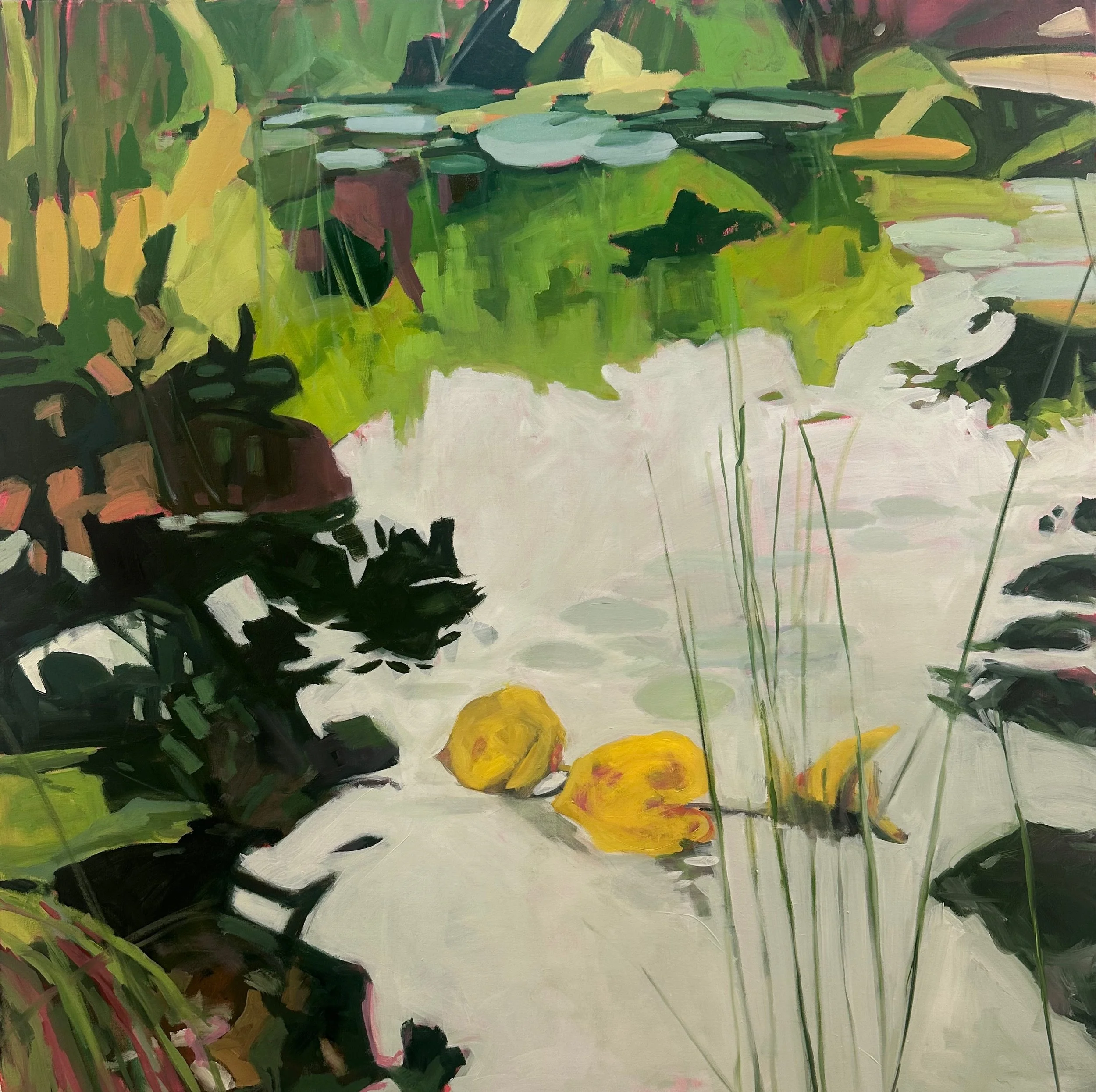    September Pond, 2026    Oil on linen  36 × 36 inches 