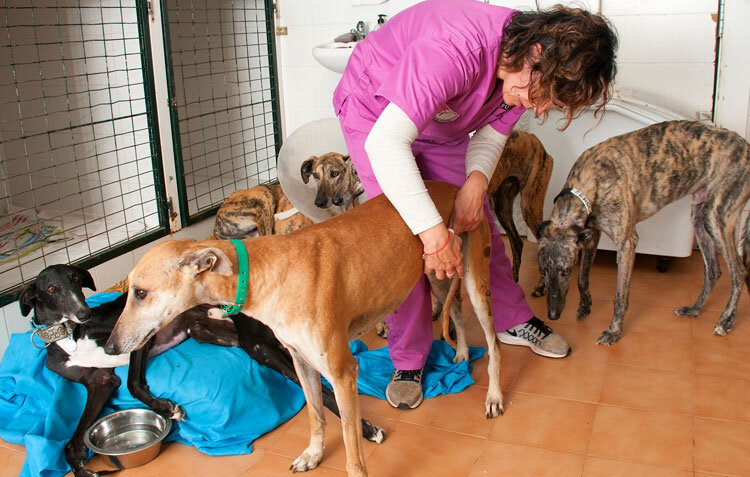 shelter5..jpg