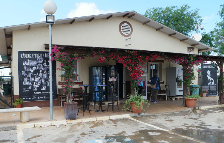 shelter1.jpg