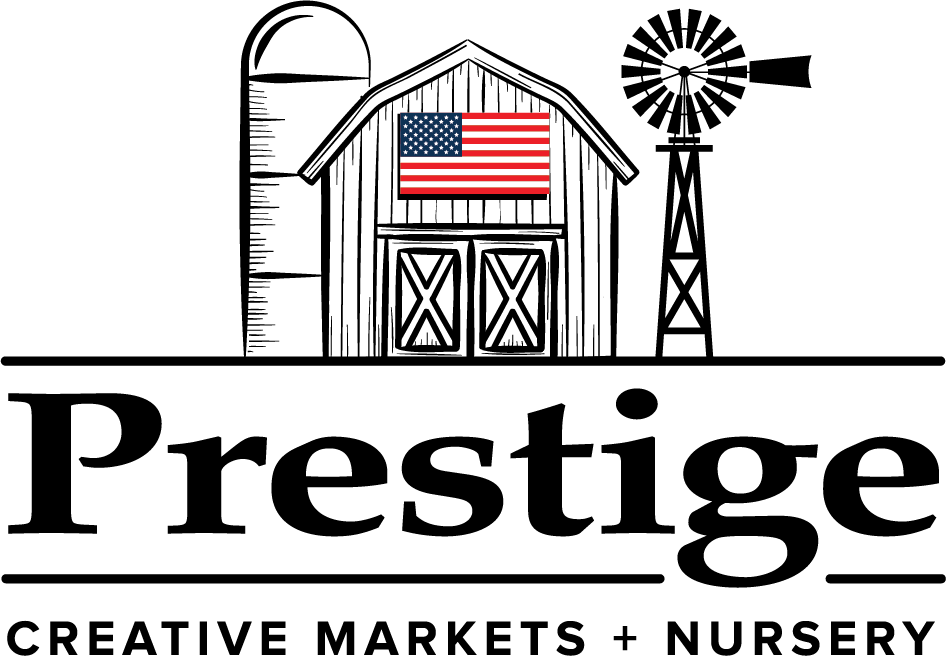 PRESTIGE CREATIVE MARKETS