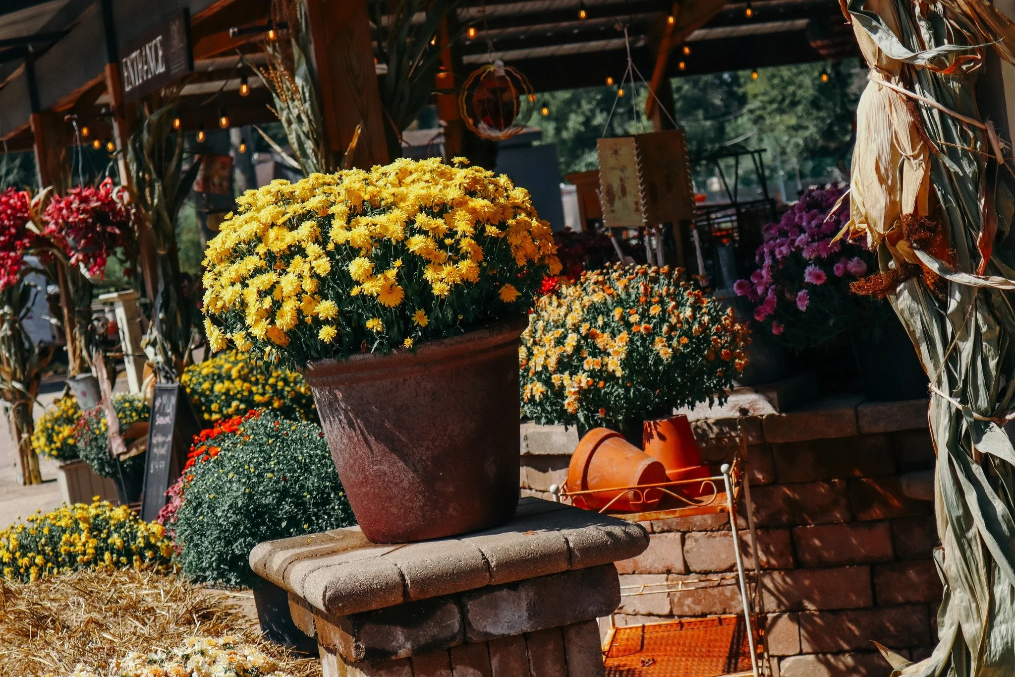 SHOP FALL FLOWERS &amp; DECOR! 🌾

Pick up a few items for your outdoor spaces this season! We have pumpkins, mums, cornstalks, and straw bales available while supplies last. Find our selection on our covered porch!

www.prestigecreativemarkets.com |