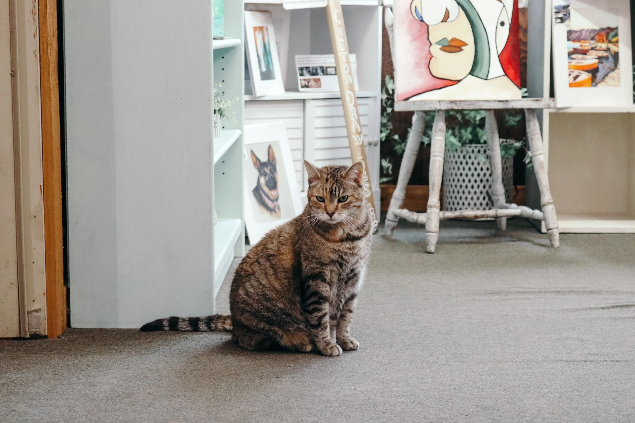 WE LOVE OUR LITTLE GIRL!

Our resident barn cat Willow loves to mingle with our customers! Have you met her while exploring our rustic indoor market? Tell us about it or share a photo in the comments below!

www.prestigecreativemarkets.com | 630-326-