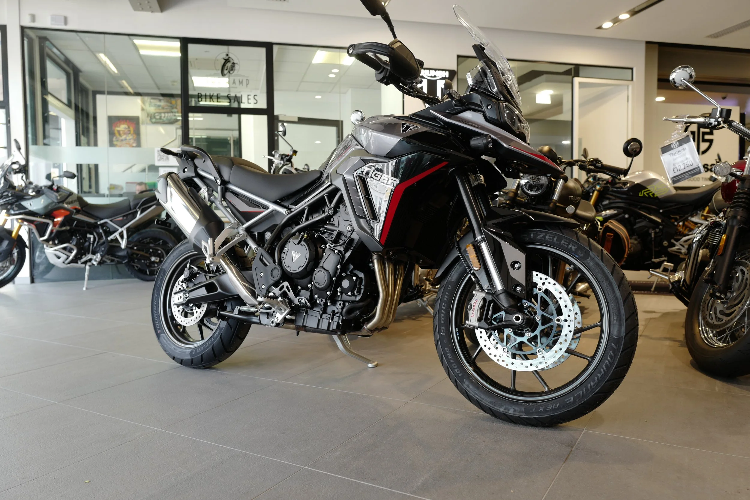 NEW Triumph, Tiger 900 GT PRO