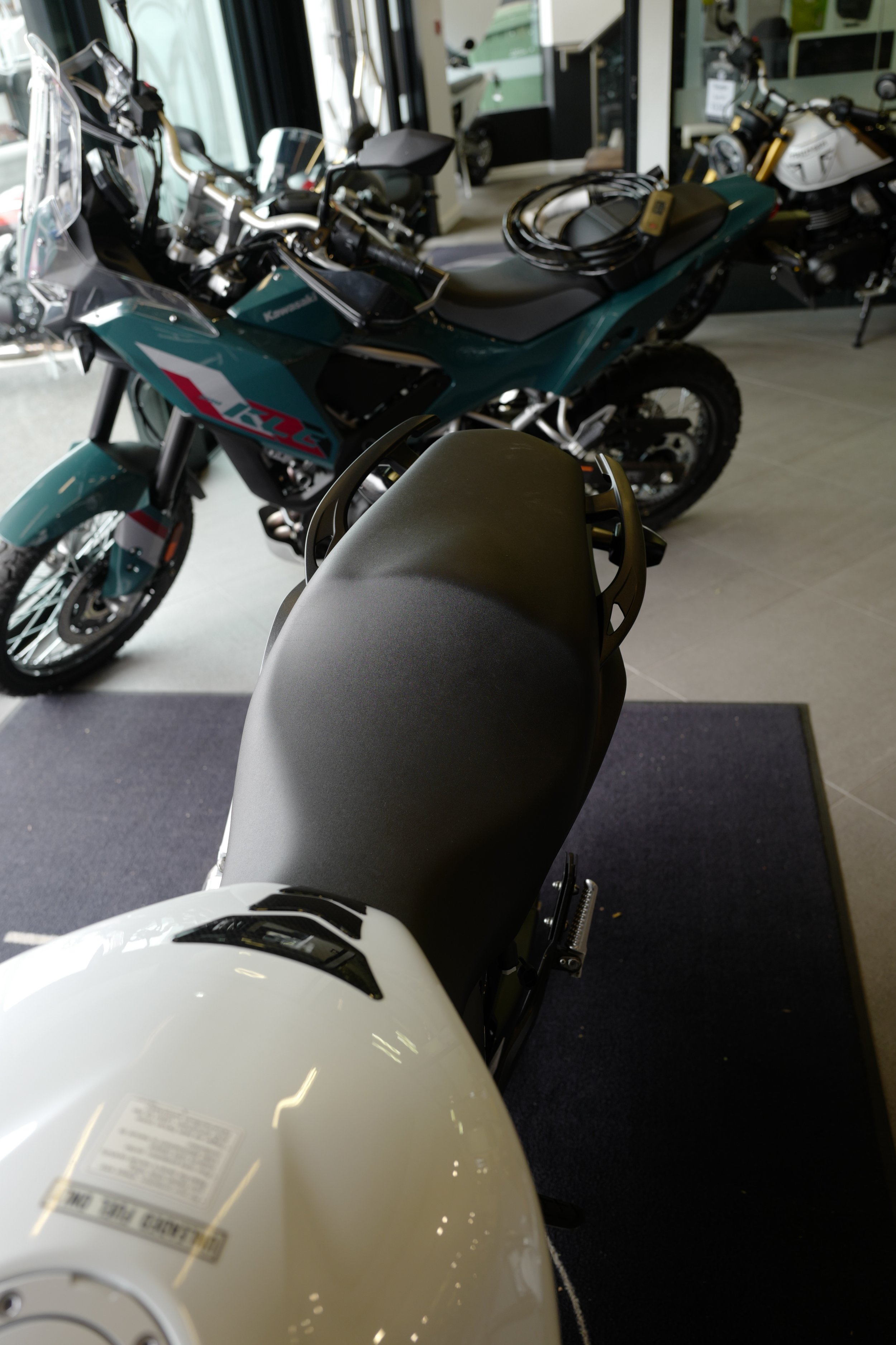 L1110894.JPG
