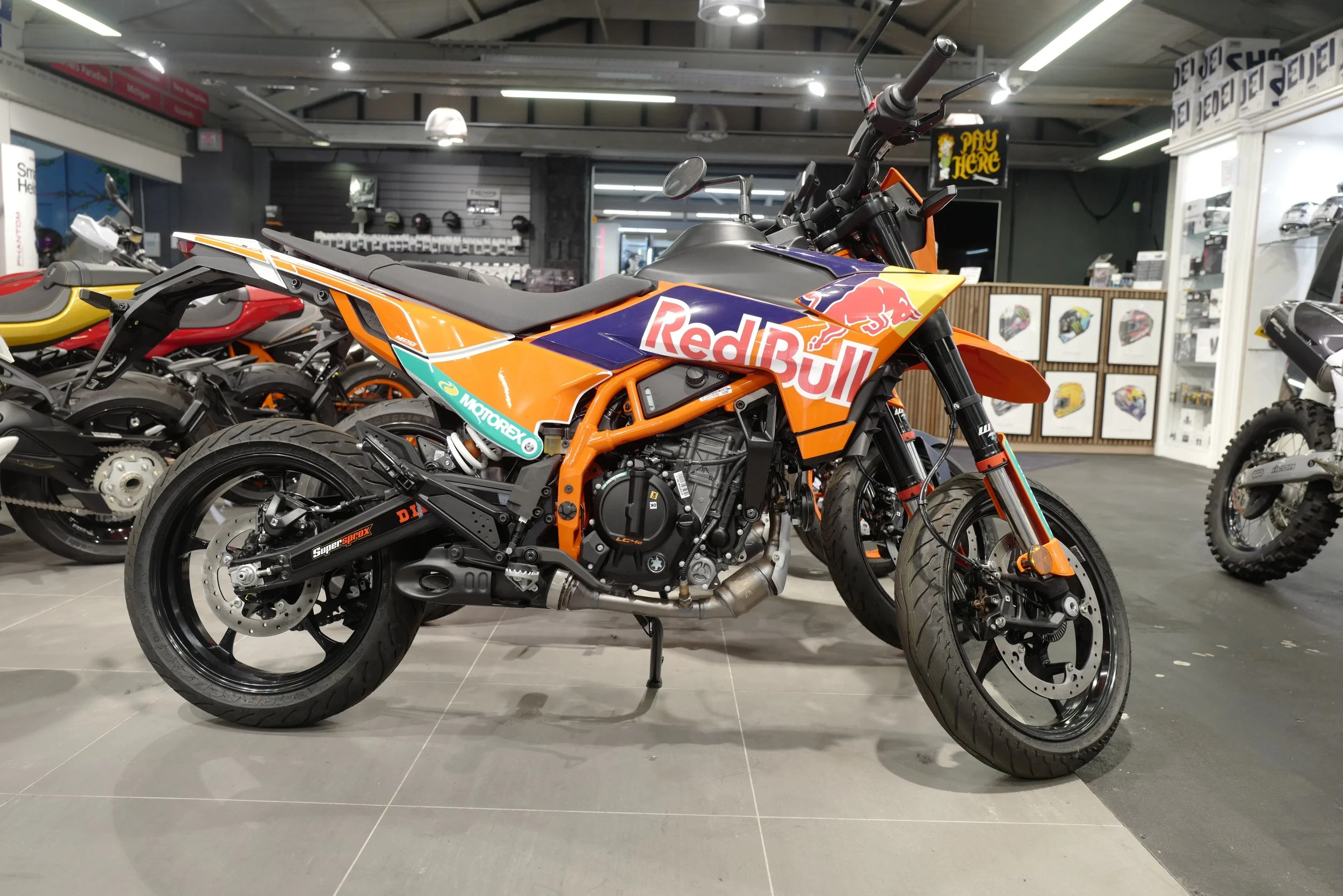 L1130873.JPG