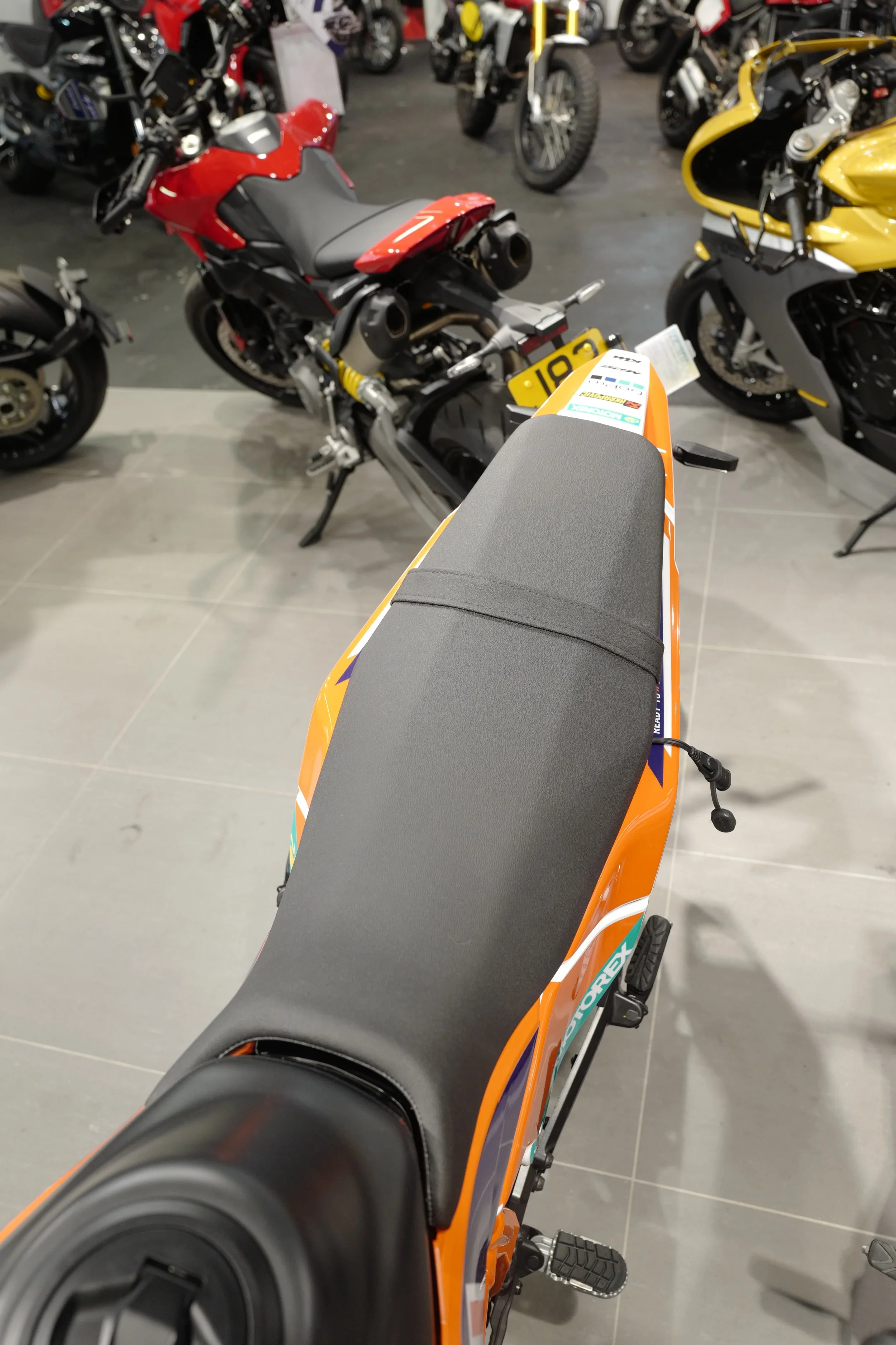 L1130884.JPG